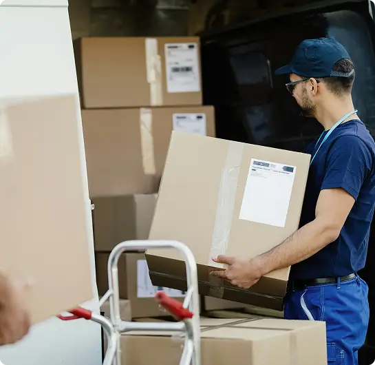 Gorilla Movers Your Professional Appliance Movers